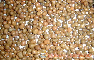 陶粒 多樣規格與廣泛應用的生產指南