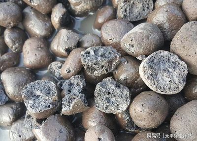 太平洋與您淺析陶粒及輕骨料混凝土的應用發展