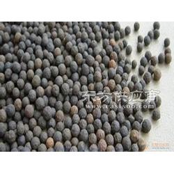 掛膜用生物陶粒濾料 孔隙率發達、肉眼可見的優質選擇