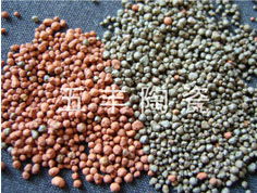 陶粒 一種多功能的環保建筑材料